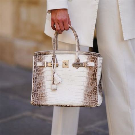 hermes birkin giá